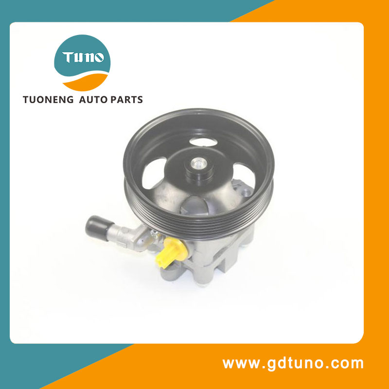 Automobile Steering Booster Pump